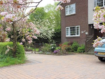 Pitch looks over a leafy garden