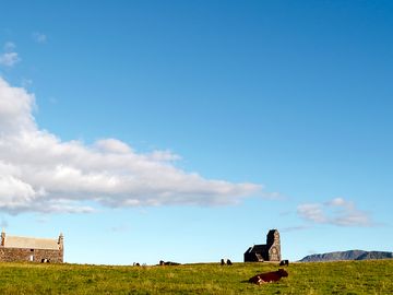 Looking out from the site