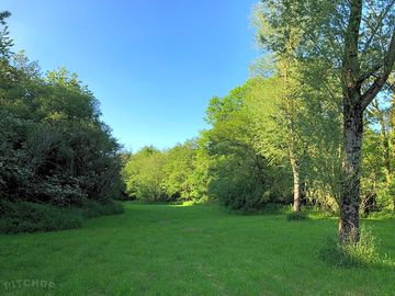 The meadow at the bottom of the woodland (added by manager 14 jun 2021)