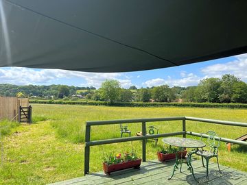 Garden views