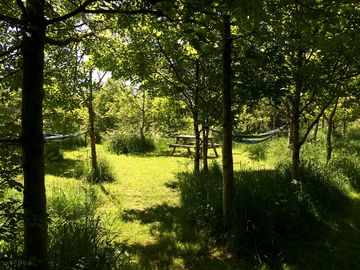 Hammocks and picnic area
