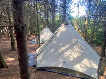Forest floor tent pitch (added by manager 23 feb 2023)
