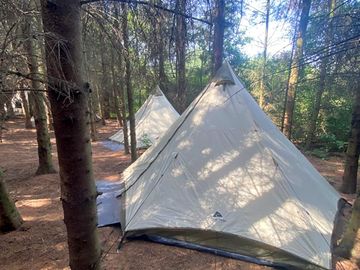 Forest floor tent pitch