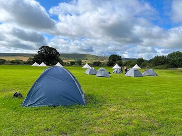 Camping with friends