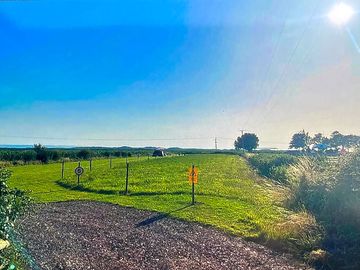 Sunshine on the campsite 🏕️