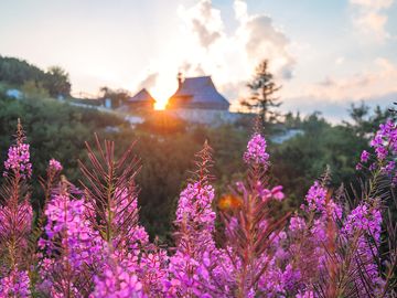 Summer sunset at koča ojstrica