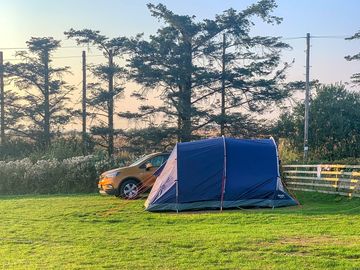 Tent pitches