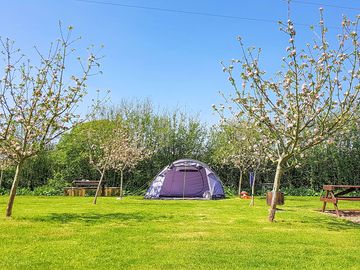 Visitor image of grass tent pitch (added by manager 21 sep 2022)