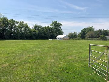 Grassy field