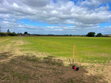 Grass pitches