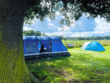 Our pitch