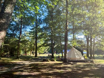 Shaded bell tent (added by manager 20 feb 2024)