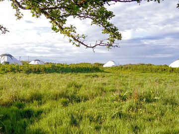 Gorgeous yurts on site (added by manager 15 aug 2023)