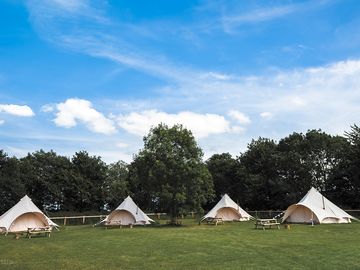 View of the glamping field