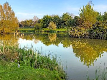 Lake view