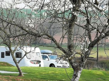 Caravan pitch