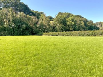 Gorgeous green surroundings