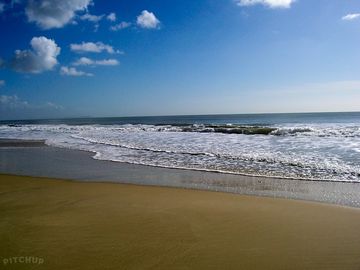 Lyme bay, charmouth