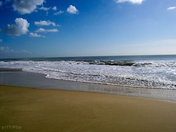 Lyme bay, charmouth (added by manager 25 jan 2016)