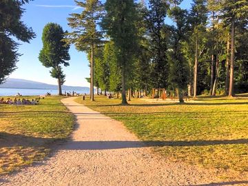 Path by lac léman