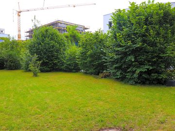 Green space around the site