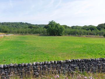 Grass pitching field (added by infolongashesparkcouk 02 aug 2018)