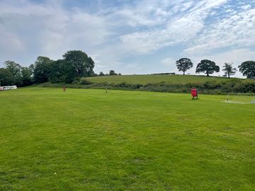 Grass pitches