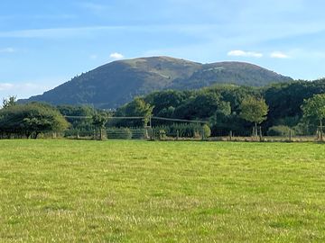 View from the site
