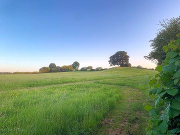 Field for dog walks
