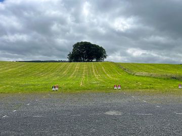 View of the site