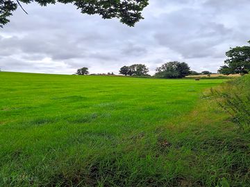 Grassy pitches