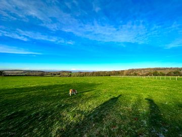 Spacious camping field