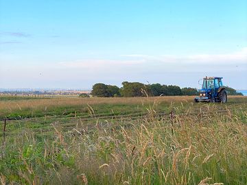 Camp within freshly cut meadows at a coastal working farm