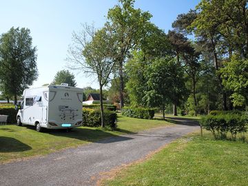 Pitches bordering the forest