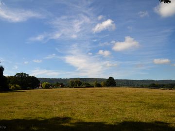 Looking over the paddock to the south downs (added by manager 04 jul 2018)