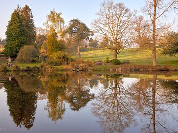 The lake at mount ephraim gardens (added by manager 08 jan 2024)