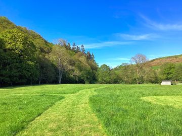 Meadow pitches