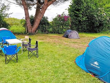 Guests on the pitches
