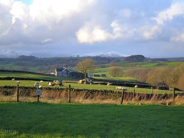 View from the pitches