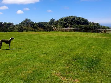 Site
