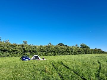 My little motor in the long grass