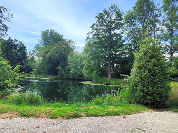 Wildlife pond