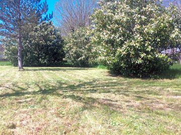 Spacious grass pitches