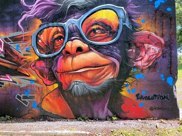 Pumphouse chimp 2