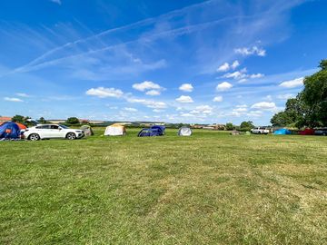 Grass pitches