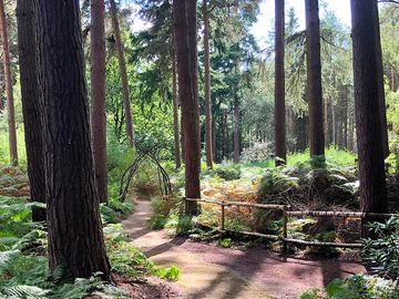 Dreamers gardens. a ten minute walk from the site through the woods