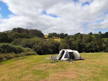 Guests on site