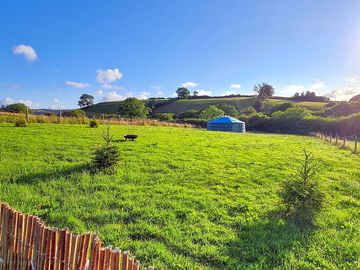Peaceful grass pitches