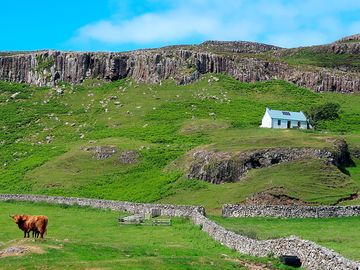 Canna bunkhouse