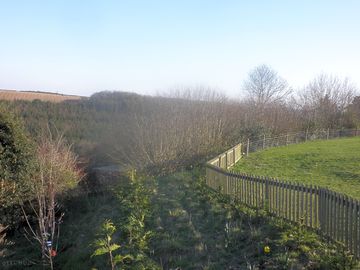 View of the woodland (added by manager 06 apr 2015)
